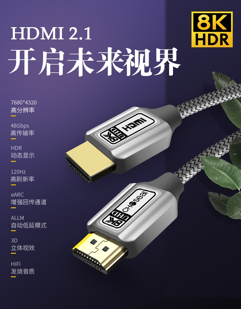 HDMI开启未来视觉